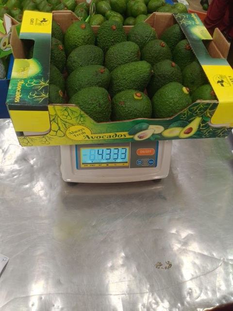 Carton of Hass avocados checked on a scale