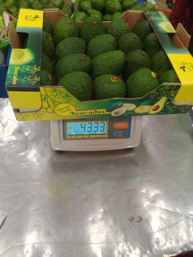 4 kg carton of Hass avocados on the scale at packing