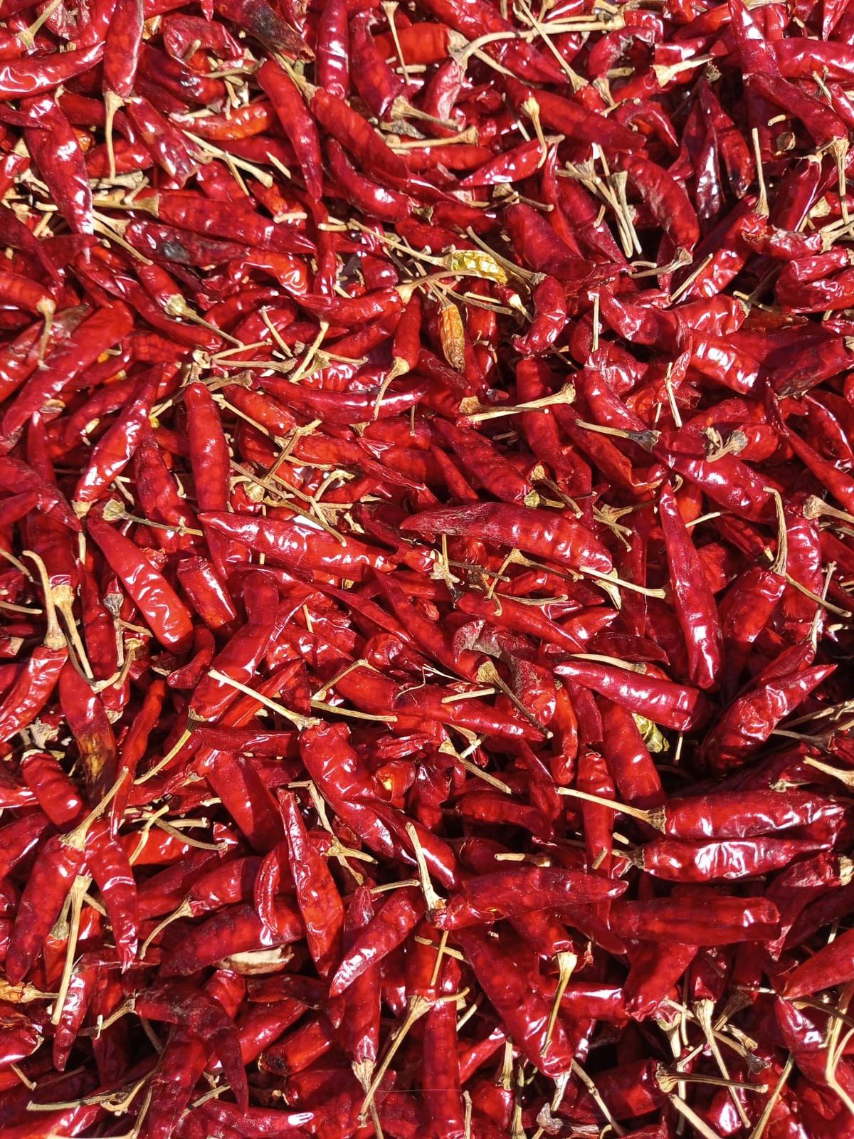 Close up of dried Kenyan chillies sorted for export