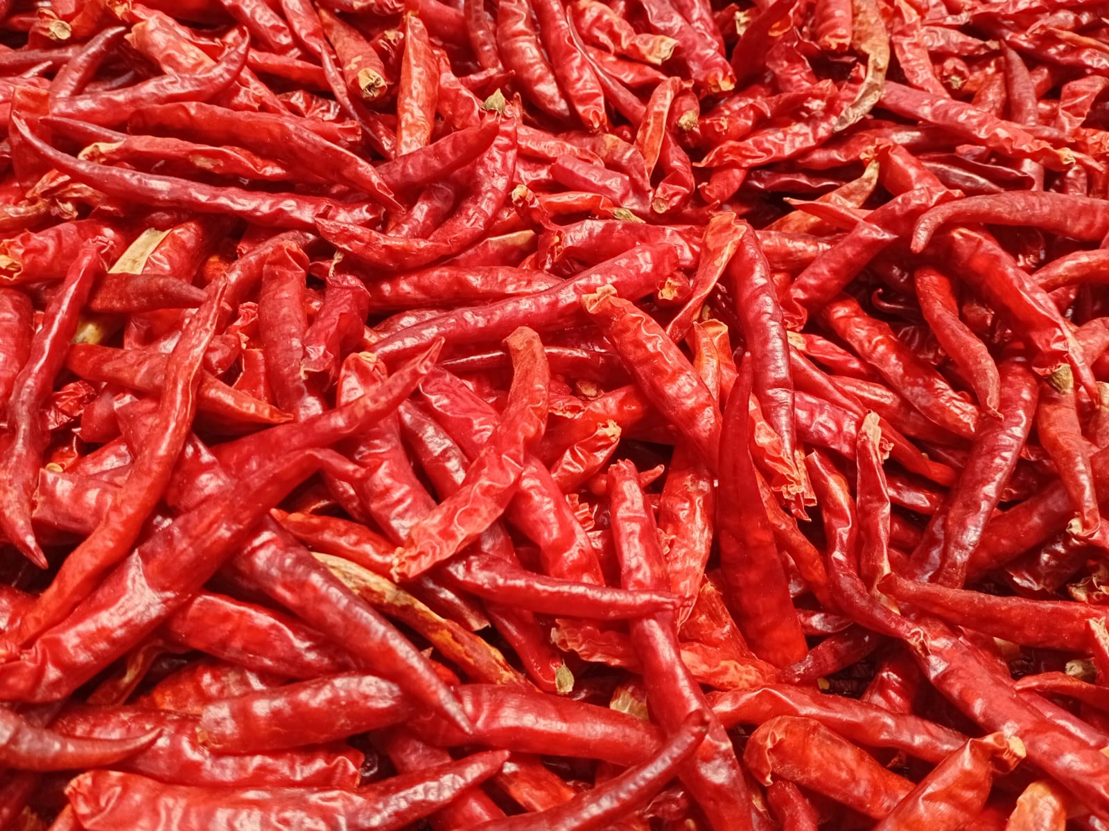 Sun dried red chillies from Kenya