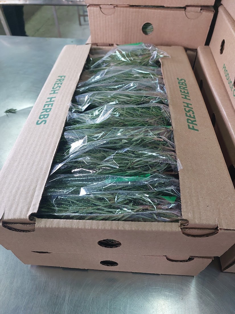 Fresh herbs packed in an export carton