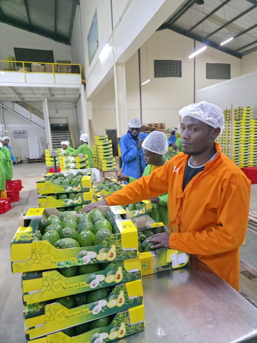 Konza Tropicals packhouse team with a partner inspector