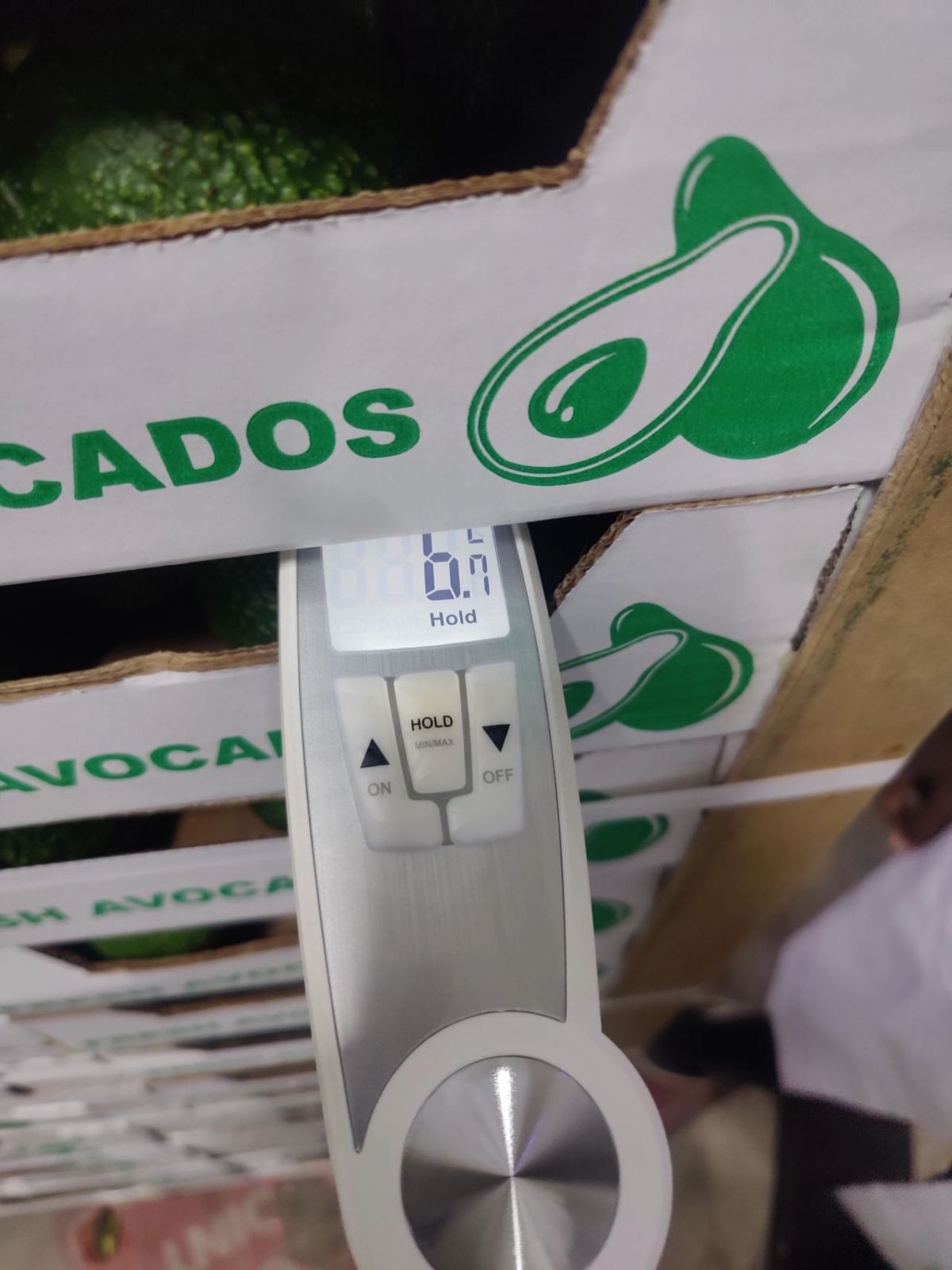 Pulp temperature check on packed avocado cartons before loading